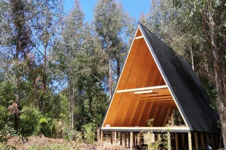 Estructura A-Frame de madera con cubierta negra entre eucaliptos